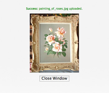 PictureValuation Photo Upload Confirmation Window